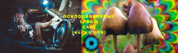 spice Алексеевка