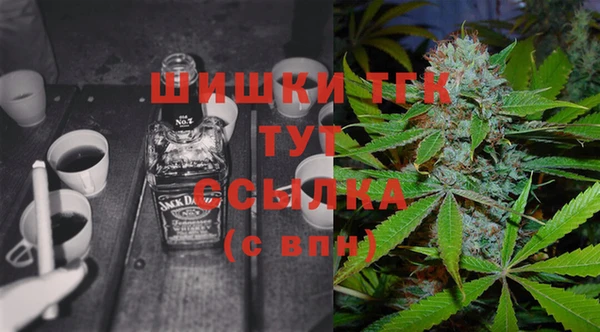 крисы Алексин