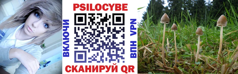 Псилоцибиновые грибы прущие грибы  как найти закладки  Томмот 